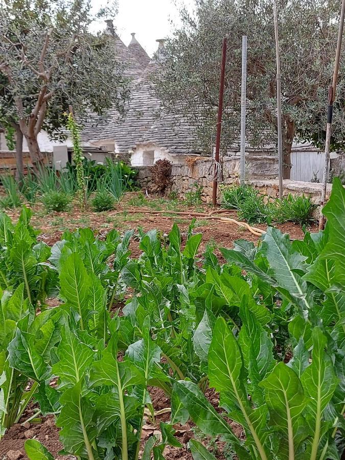 Il Trullo Di Giada E Mattia Alberobello Exterior foto