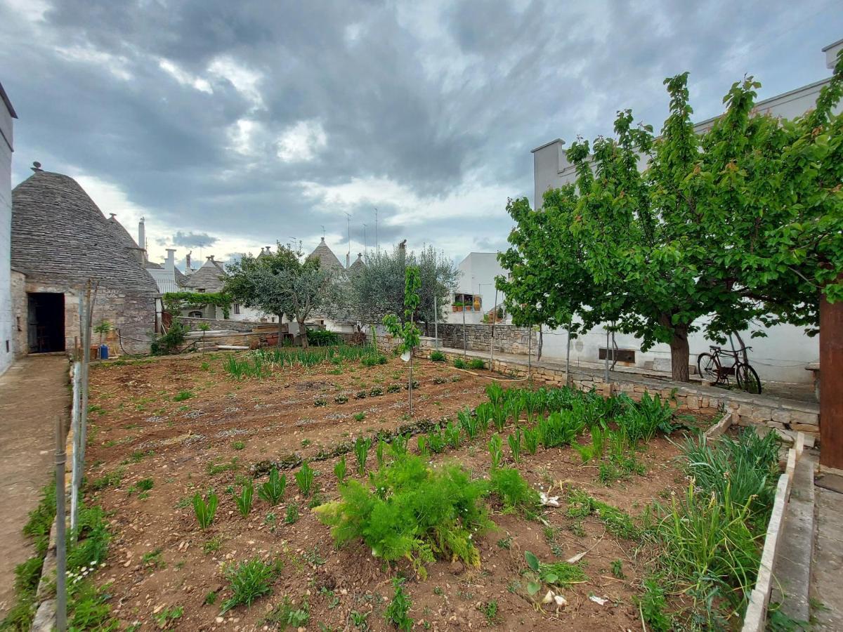 Il Trullo Di Giada E Mattia Alberobello Exterior foto