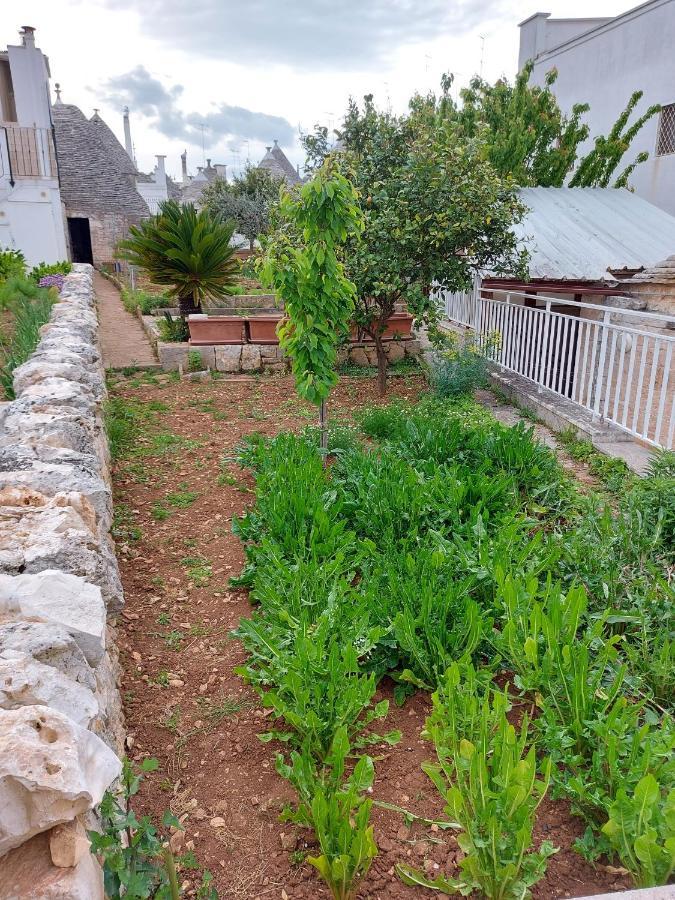 Il Trullo Di Giada E Mattia Alberobello Exterior foto