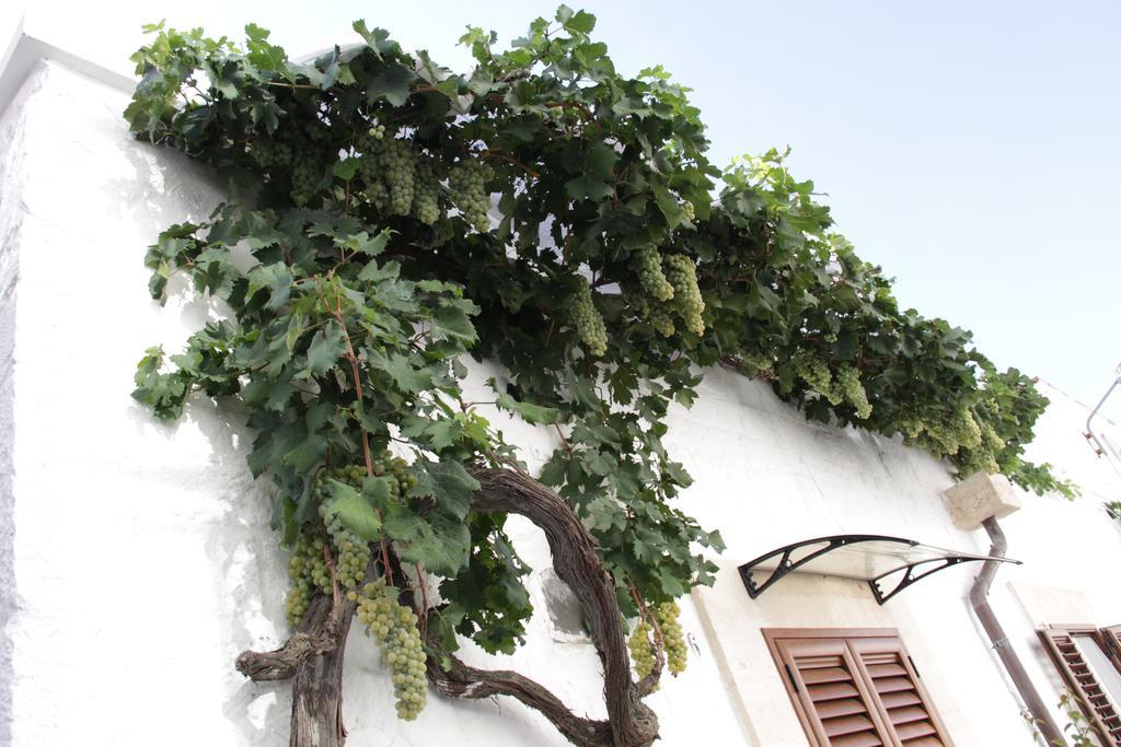 Il Trullo Di Giada E Mattia Alberobello Exterior foto