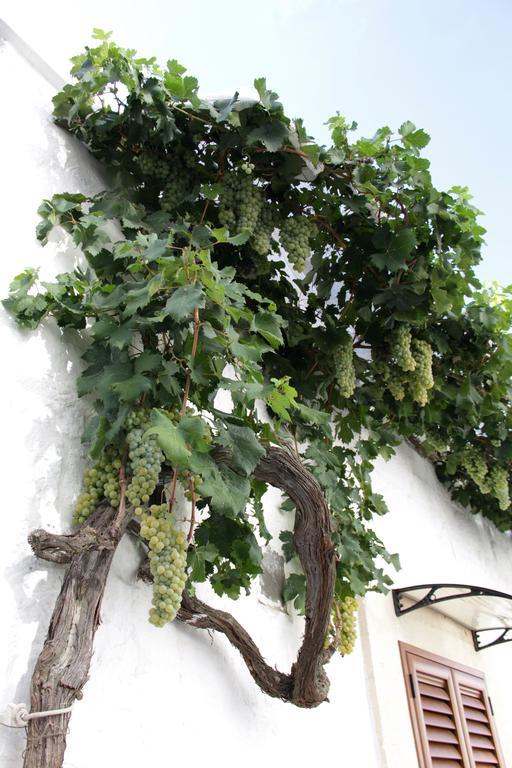 Il Trullo Di Giada E Mattia Alberobello Exterior foto